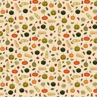 Pumpkins And Squashes Wrapping Paper - 1 Sheet