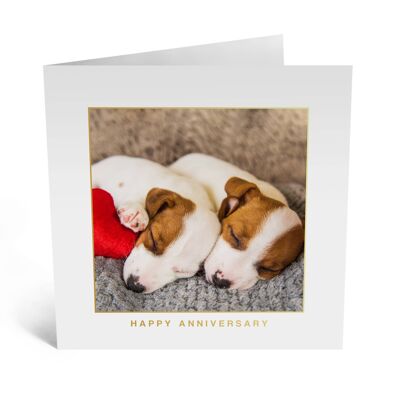 Puppies in Love Card