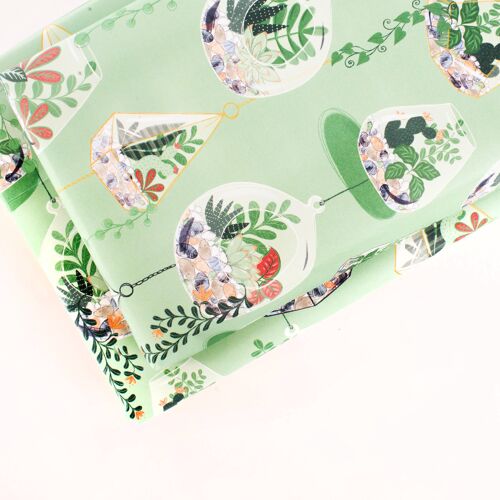 Terrariums Wrapping Paper - 1 Sheet