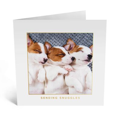 Carte de couchage trois chiots