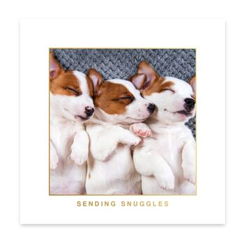 Carte de couchage trois chiots 2