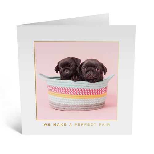 Two Pugs in a Basket Card