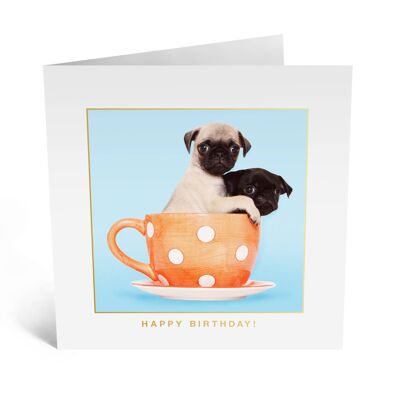 Tarjeta Dos Pugs en una Taza