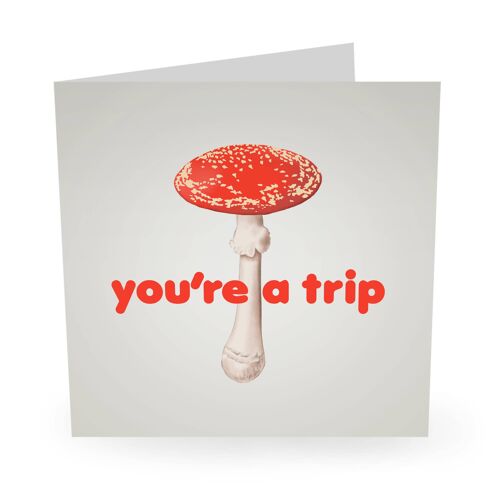 You're A Trip Funny Birthday Card