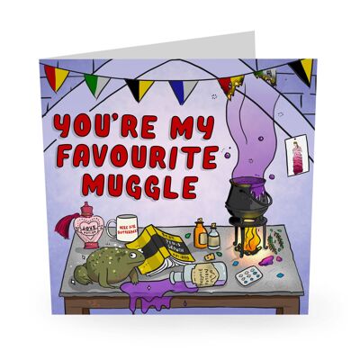 You're My Favourite Muggle Funny Birthday Card