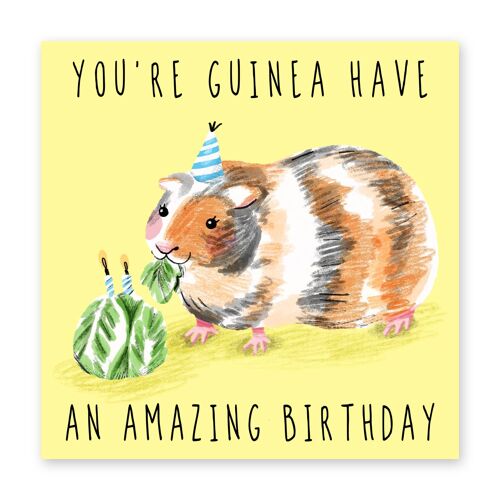 You’re Guinea Have an Amazing Birthday Card