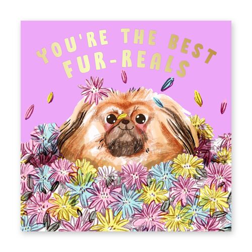You’re the Best Fur-reals Card