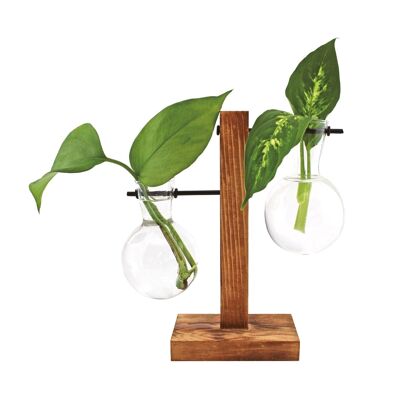 Hydro Vase Fleur | For seedlings