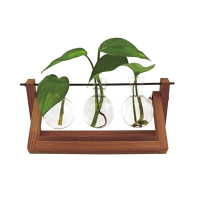 Fleur de vase hydro | Pour les semis