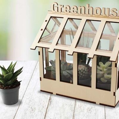 DIY miniature greenhouse