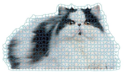 Puzzle in Originalgröße Dicke Katze