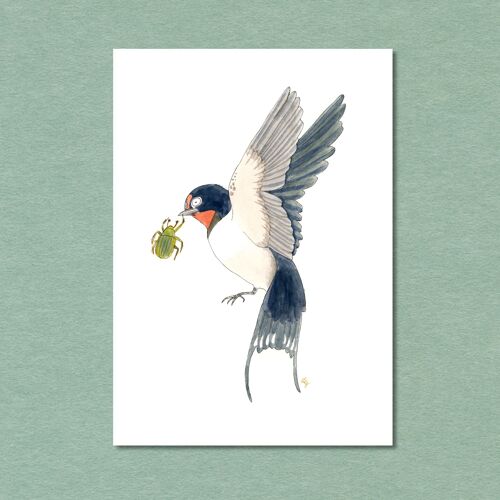 Kunstpostkarte Singvogel Rauchschwalbe