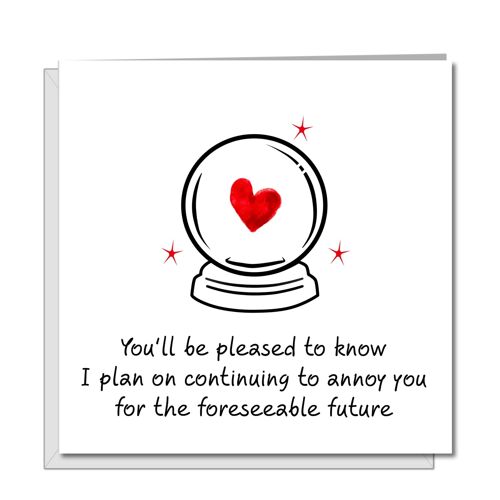 Funny Anniversary / Valentine / Birthday Card Like to Argue