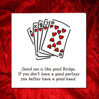 Carte d'anniversaire amusante - Jeu de cartes Bridge - Rude Naughty 3