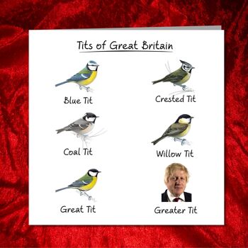 Carte d'anniversaire amusante de Boris Johnson - oiseaux, mésange 3