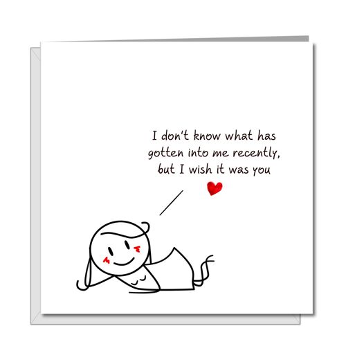 Funny Valentines or Birthday Day Card - Gotten into Me - You