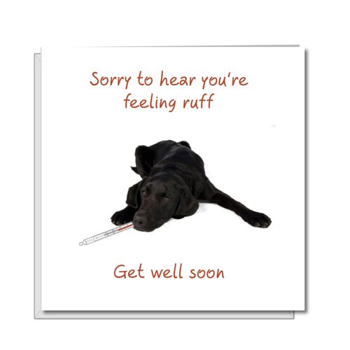 Get Well Soon Card - Feel Better - Sick as a Dog Labrador
