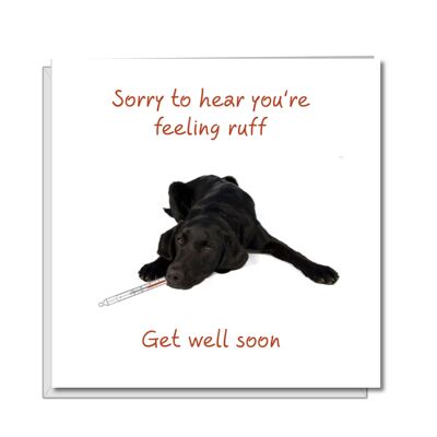 Get Well Soon Card – Feel Better – Sick as a Dog Labrador