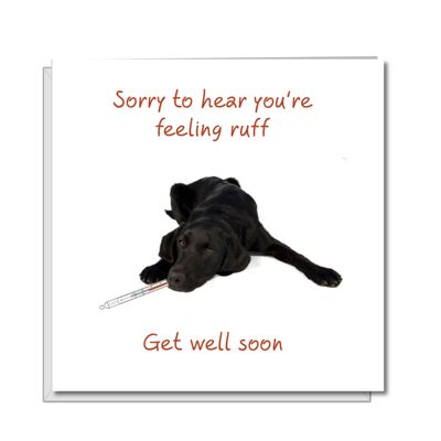 Tarjeta de recuperación pronto - Siéntase mejor - Enfermo como un perro Labrador