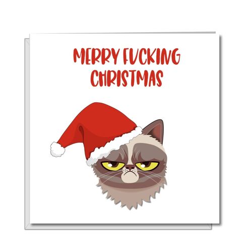 Grump Cat Christmas Card - Merry F'ing Christmas