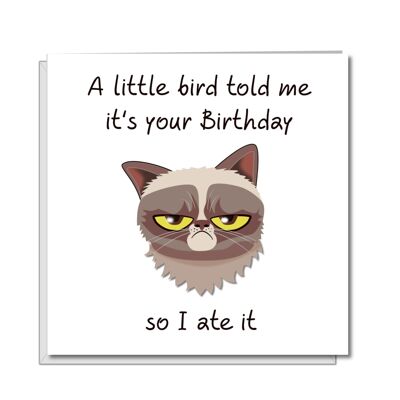 Grumpy Cat Birthday Card - Little Bird Told Me