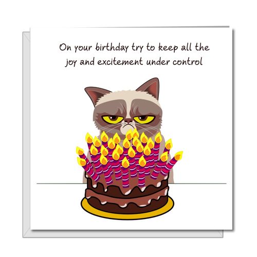 Grumpy Cat with Cake Birthday Card - Hunorous