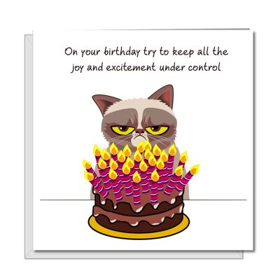 Biglietto di auguri per il compleanno di gatto scontroso con torta - Hunorous