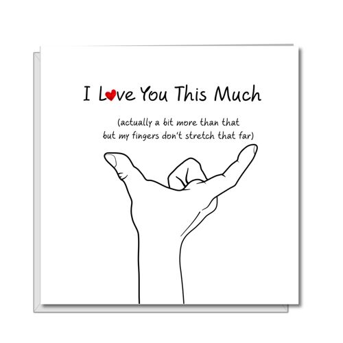 Love You This Much Valentines, Birthday or Anniversary Card