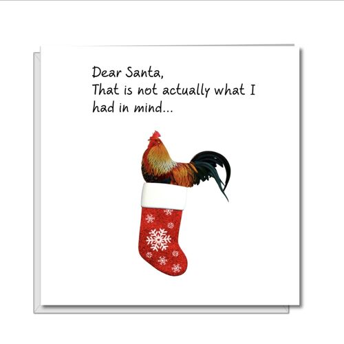 Naughty Sexy Christmas Card - Big Cock in Stocking