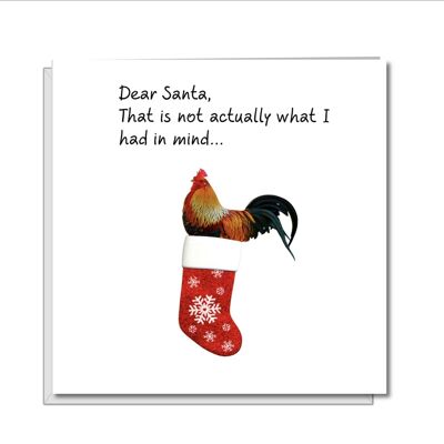 Naughty Sexy Christmas Card - Big Cock in Stocking