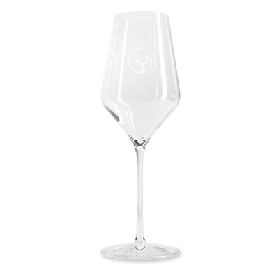 Quatrophil white wine glass set of 6 (Stölzle/Lausitz)