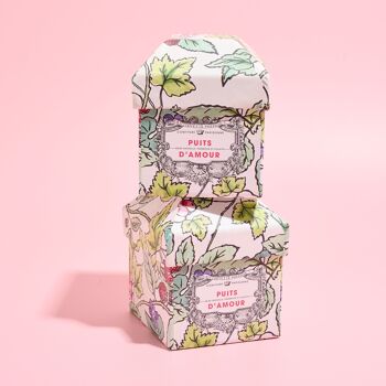 Coffret Maman - Puits d'amour (Gelée de groseille, framboise et violette) x Antoinette Poisson 1