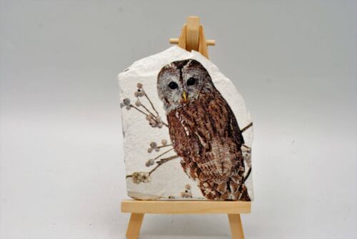 Brown Owl Decorated Slate