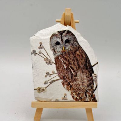 Brown Owl Decorated Slate