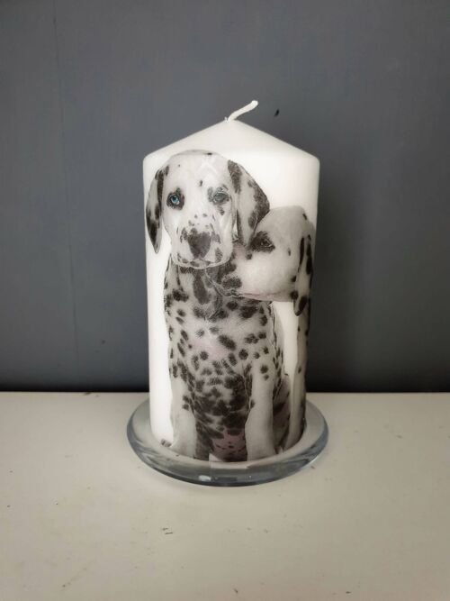Dalmatian Decorative Candles