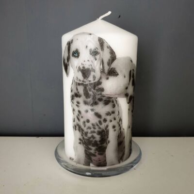 Dalmatian Decorative Candles