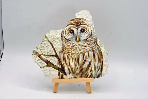 Decorated Owl Slate