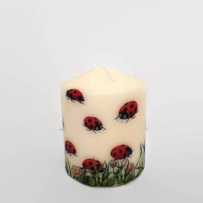 Candele decorative di coccinella