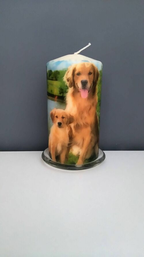 Golden Retriever Dogs Candle