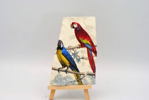 Parrots Decorated Slate