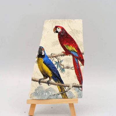 Parrots Decorated Slate