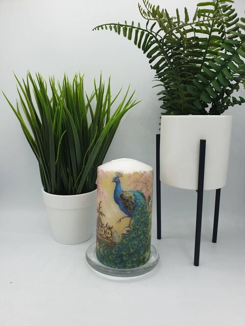 Peacock Decorative Candle
