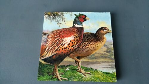 Pheasant Decoupage Coasters