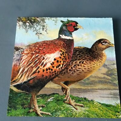 Pheasant Decoupage Coasters