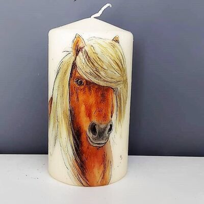 Pony Decorated Candle