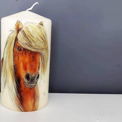 Pony Decorated Candle