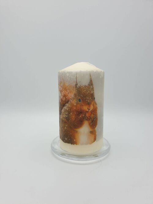Red Squirrel Candle
