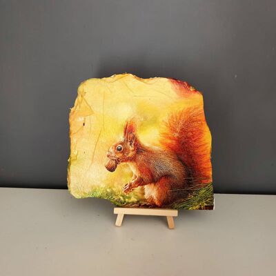 Red Squirrel Decorated Slate