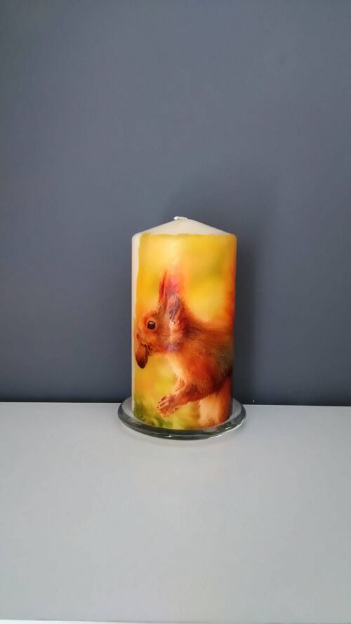 red squirrel decoupage candle