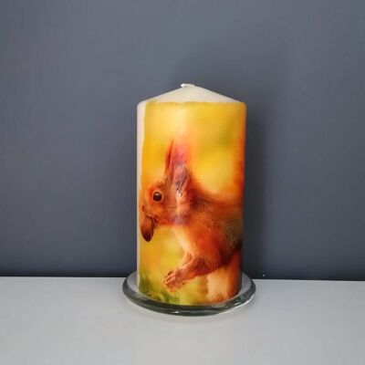 red squirrel decoupage candle